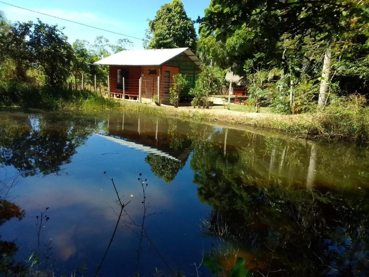 Albertico Jungle House Guest House Pucallpa Eksteriør bilde